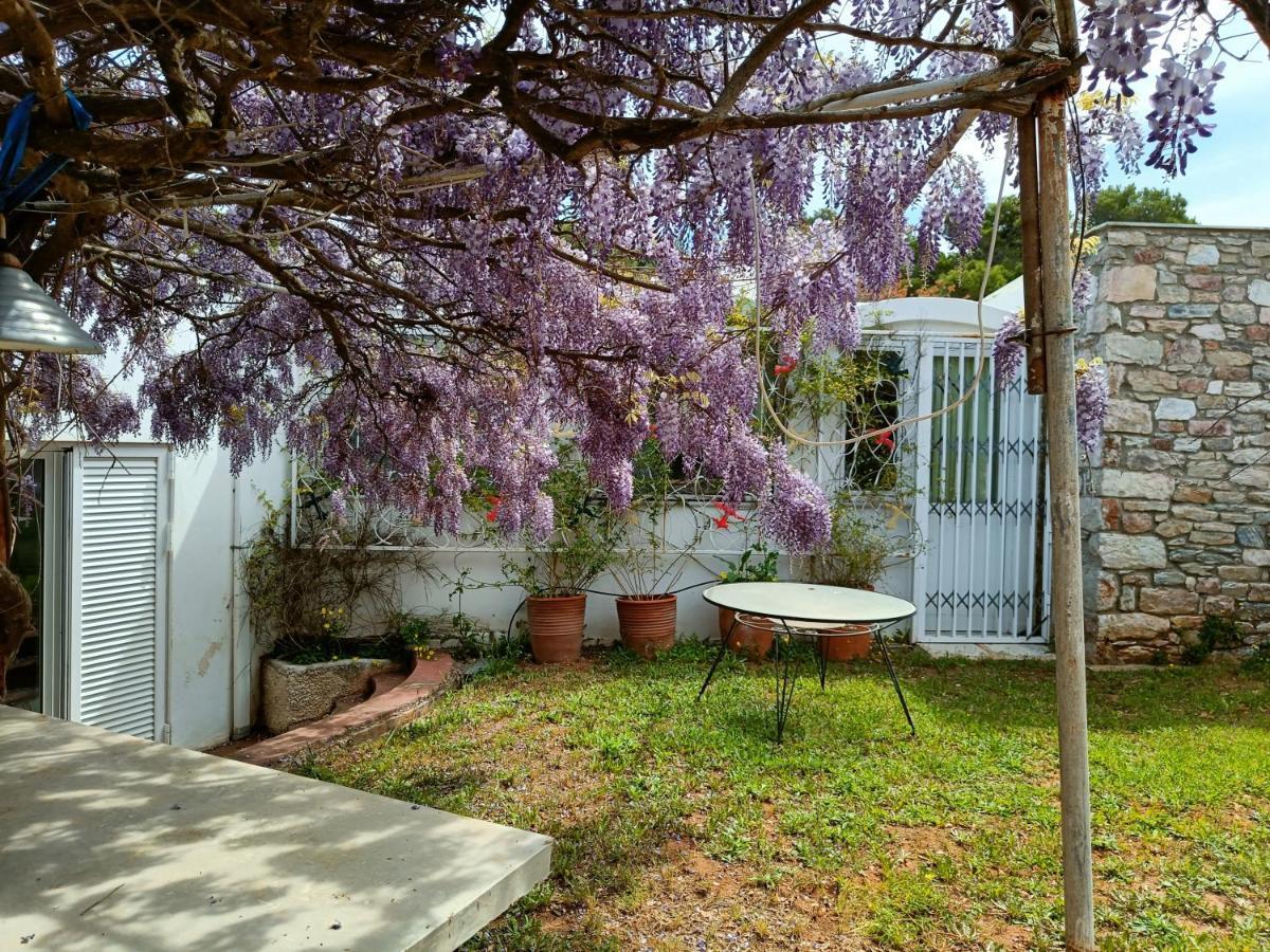 Summer Villa In Porto Rafti Bagian luar foto
